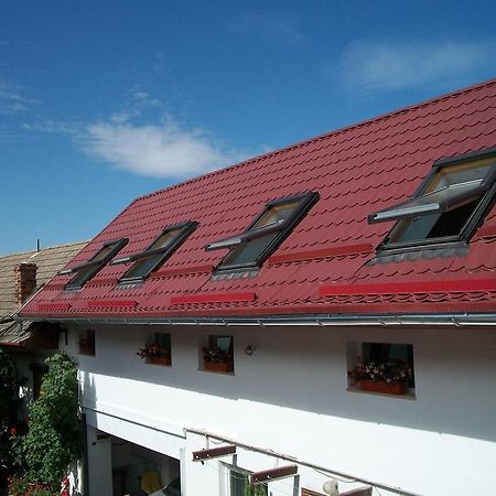 Casa Sara Hotel Săcele Exterior photo