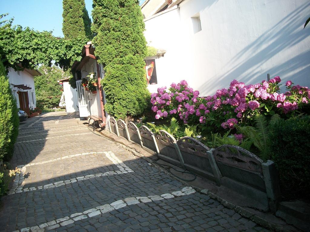 Casa Sara Hotel Săcele Exterior photo
